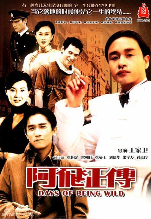 杨百翰大学夏威夷分校 Market Development Diploma